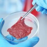 Global Cultured Meat Market Research Report