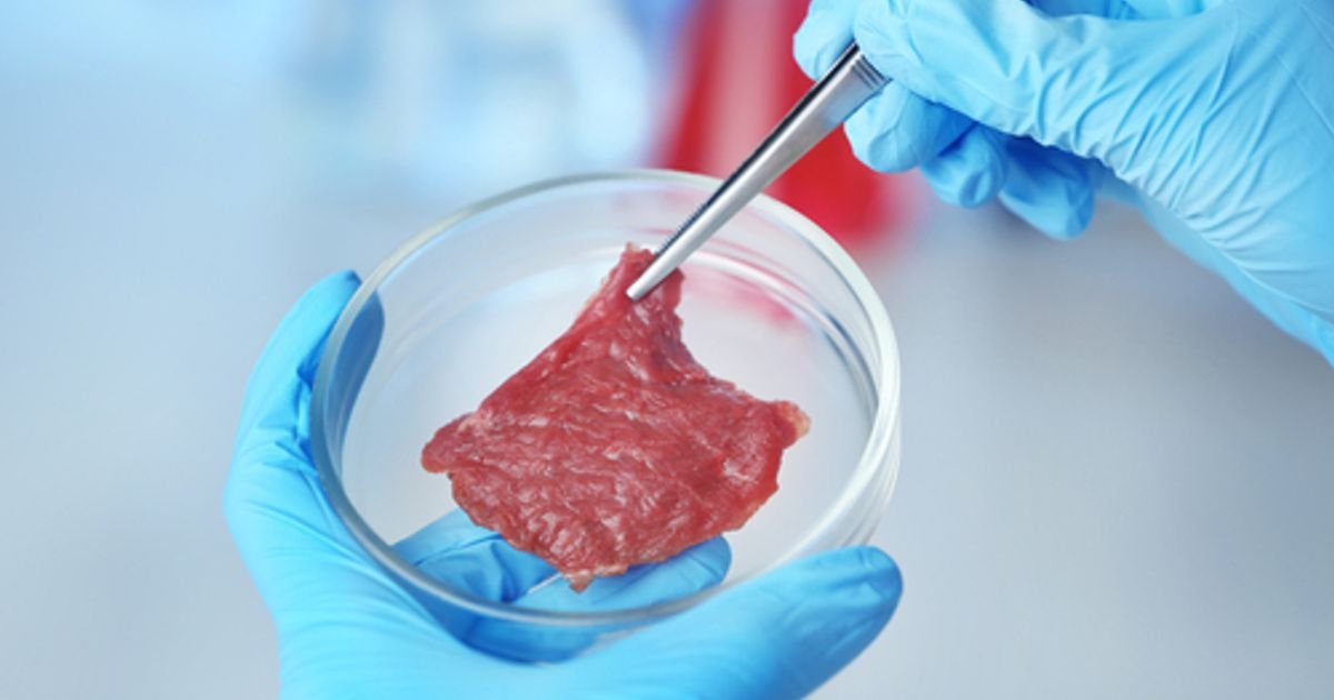 Global Cultured Meat Market Research Report