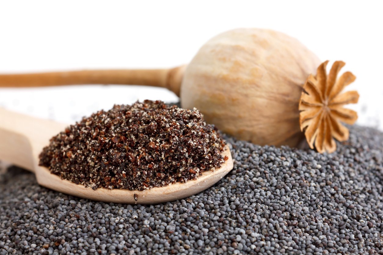 Wooden spoon with ground poppy seeds, pod, and whole seeds.