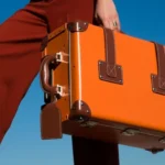 Understanding the Growth Dynamics of the Premium Luggage Market