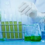 An Overview of the Bio-Based Itaconic Acid Market: Trends and Growth Factors