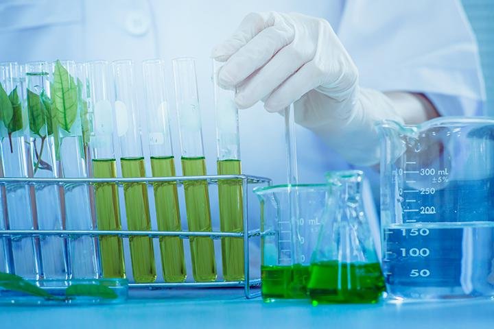 An Overview of the Bio-Based Itaconic Acid Market: Trends and Growth Factors