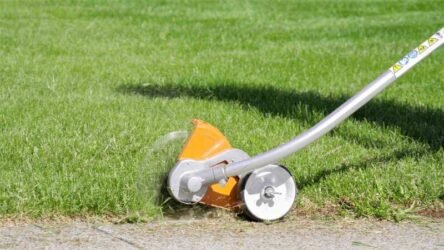 Emerging Trends in the Global Lawn Edgers Market