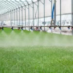 The Future of Smart Greenhouse Irrigation Systems: A Market Overview