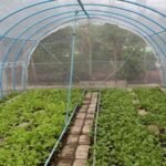 Exploring the Growth of the Global Grow Tents Market: Key Insights for 2024-2032