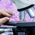 Transforming Diagnostics with AI in Digital Pathology