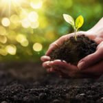 The Transformative Power of Biotech Seeds in Modern Agriculture