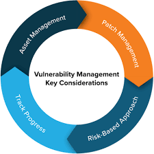Vulnerability Management Software
